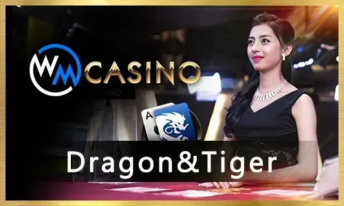 Jili777 Live Casino Strategy