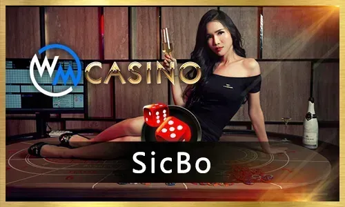 Jili777 New Casino Features